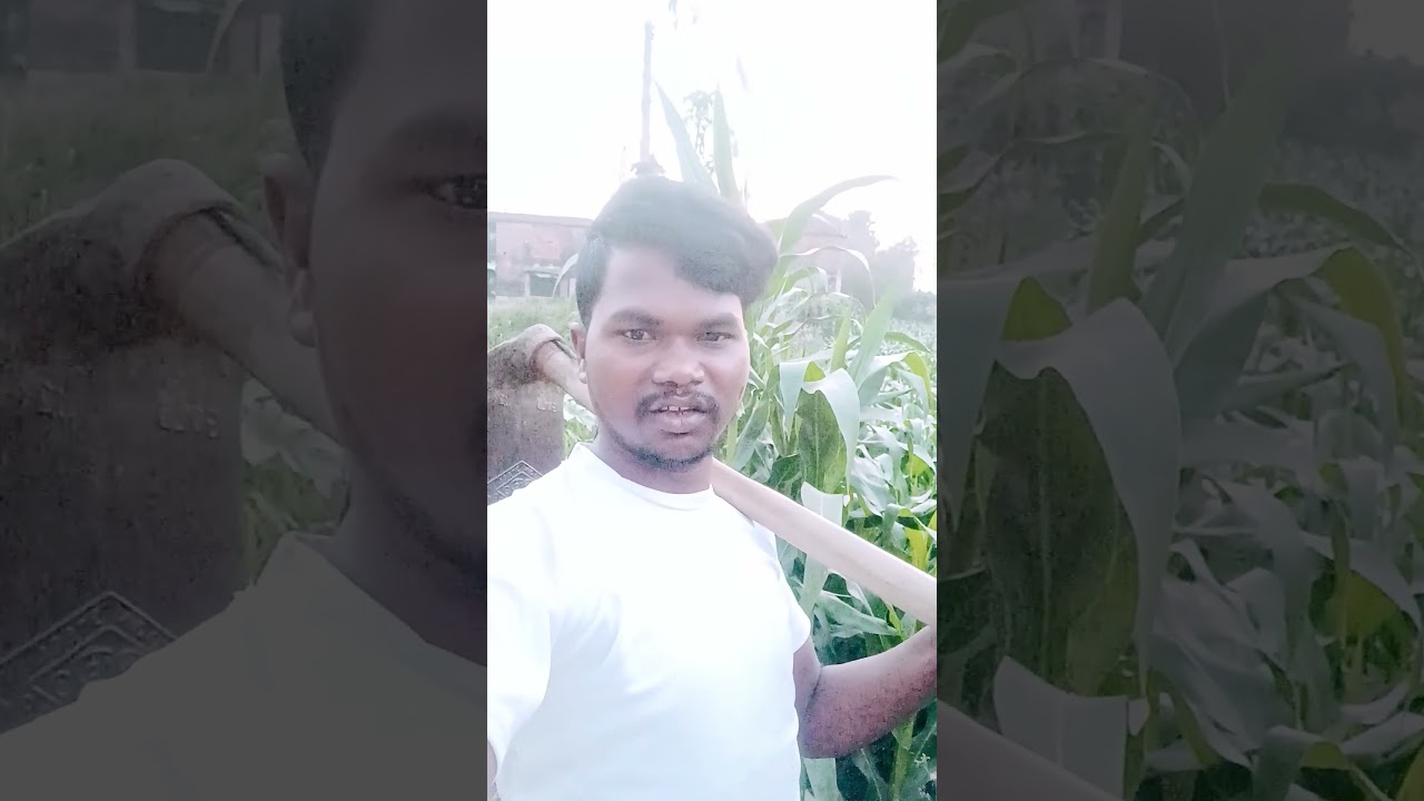 Amgi kiya full #new #santali#love story  #trendingshorts video#by James Darpan