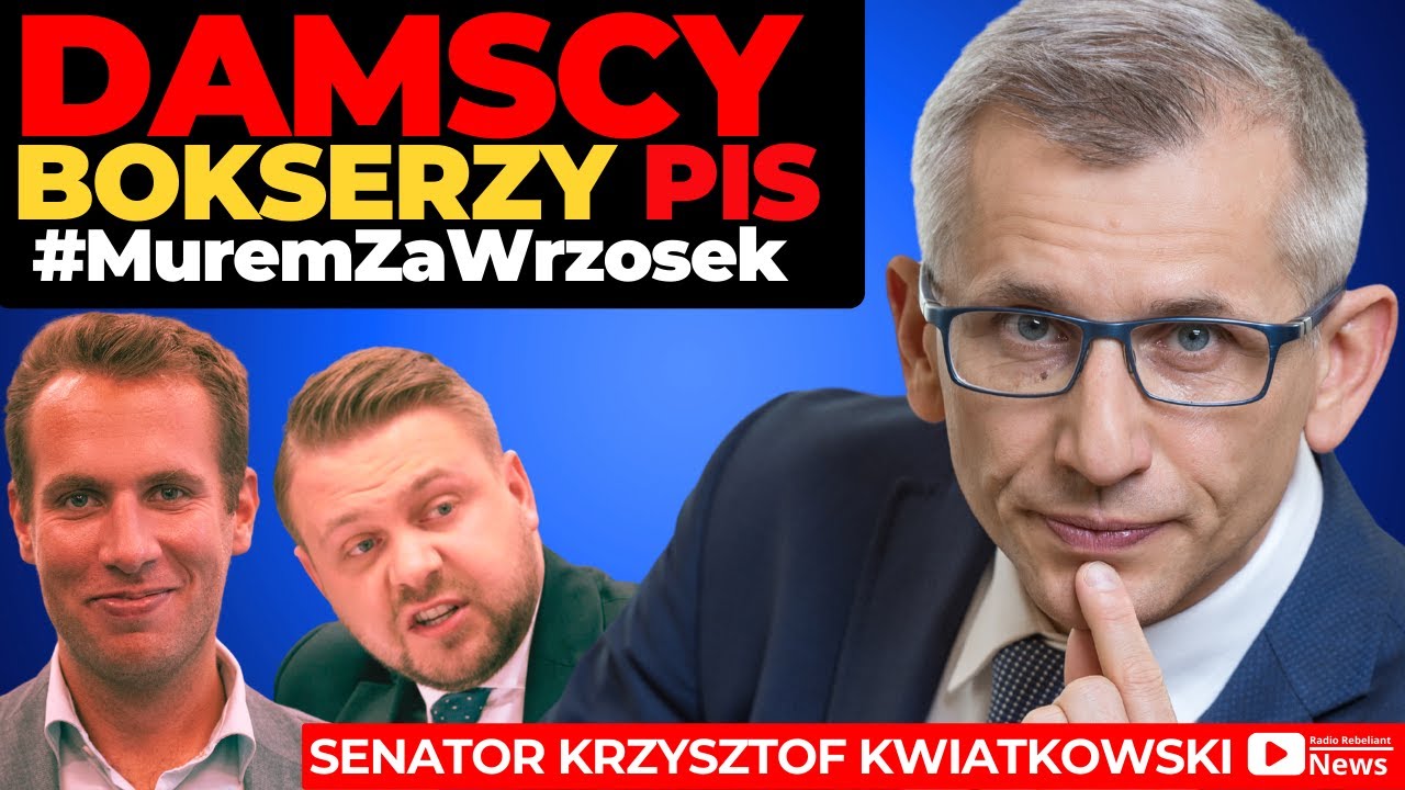 Damscy Bokserzy w PiS! Senator Kwiatkowski komentuje groźby wobec prokurator Wrzosek
