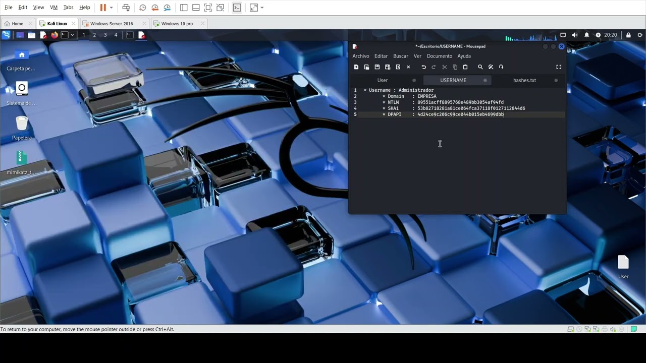 Pentesting en redes corporativas.