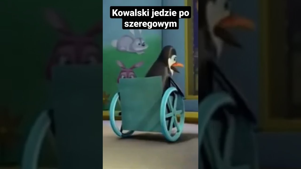 Kowalski jedzie po szeregowym #kowalski #pingwin