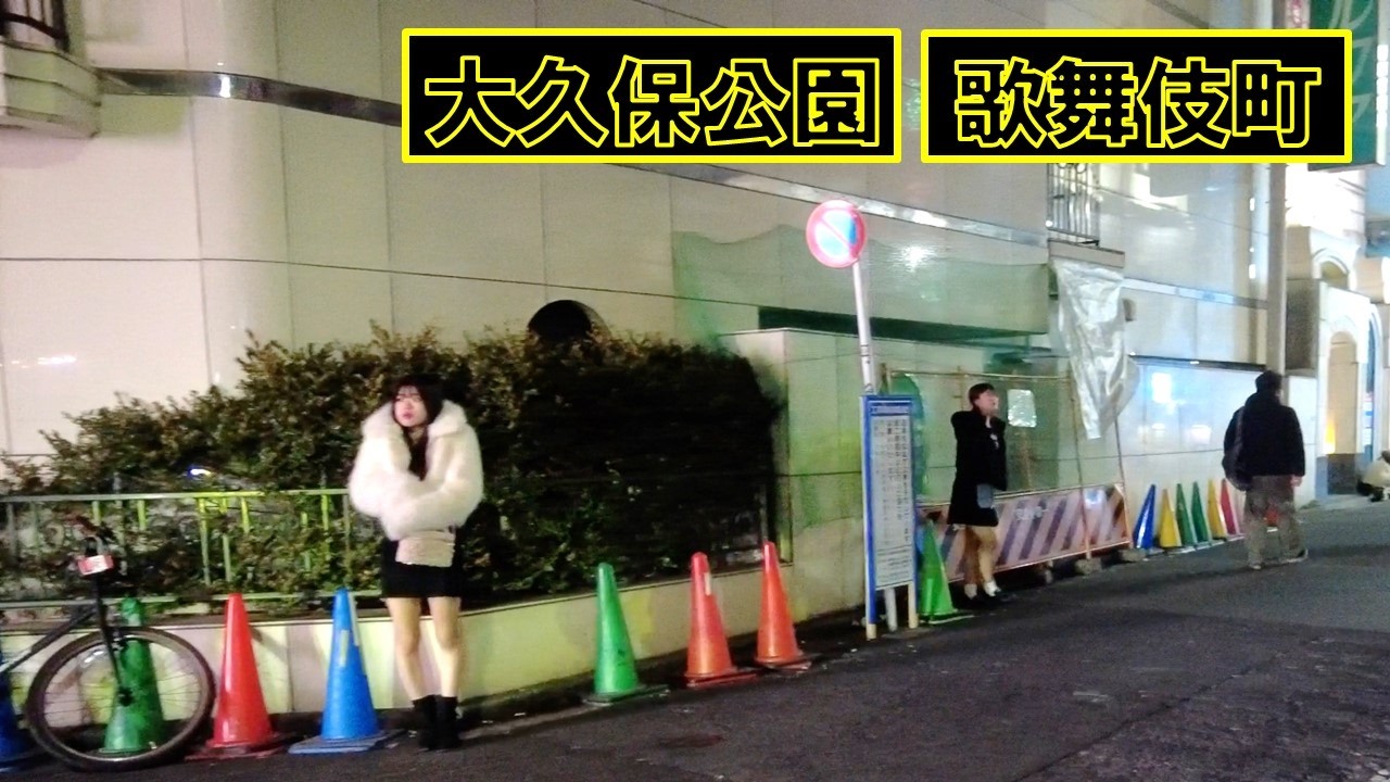 【新宿歌舞伎町】欲望の街歌舞伎町トー横ホテル街大久保公園　Night Walk in Tokyo Shinjuku Kabukicho Okubo Park