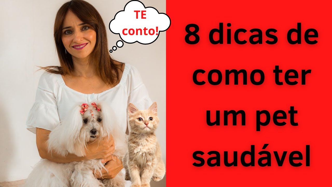 8 dicas de como ter um pet saudável e gastar menos com veterinário!