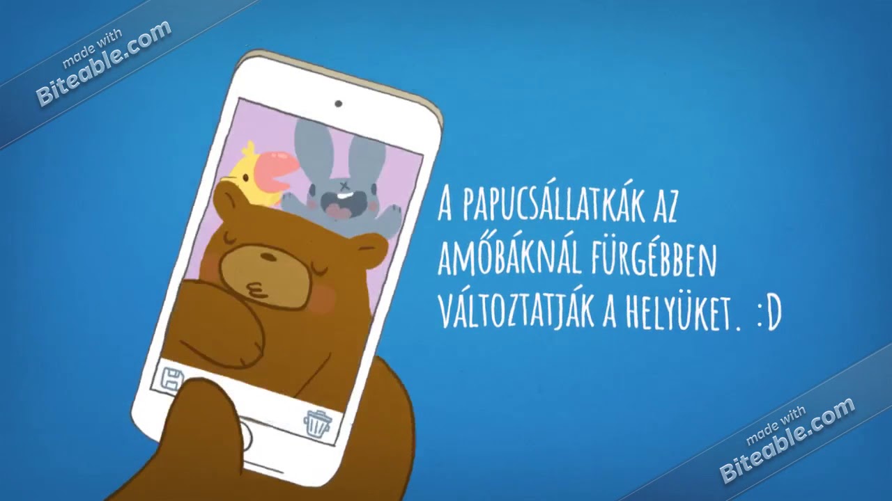Term&eacute;szet ismeret 6.oszt&aacute;ly a v&iacute;zpart &eacute;lővil&aacute;ga