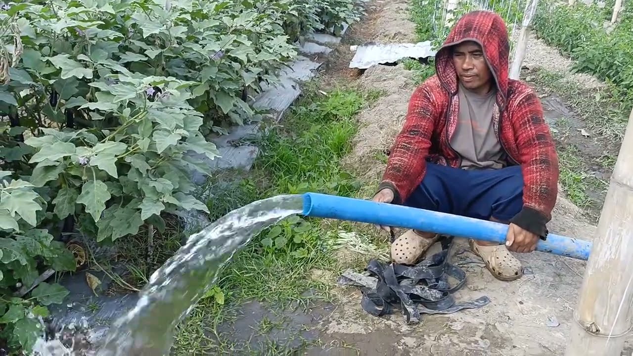 Ganito ka lakas ang tubig sa apat na Pannell board na solar water pump 