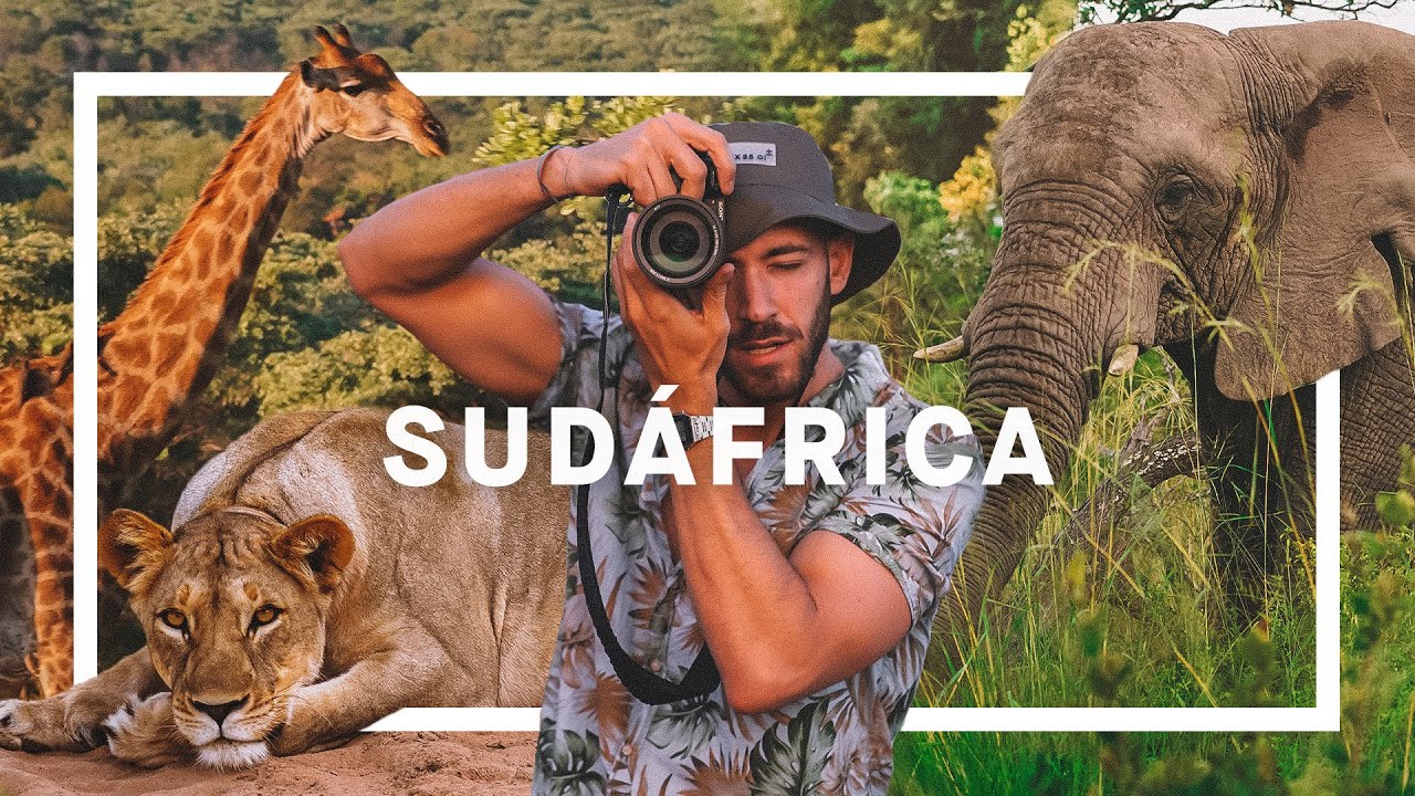 DORMIR ENTRE LEONES Y ELEFANTES: SUDÁFRICA (4K) | enriquealex