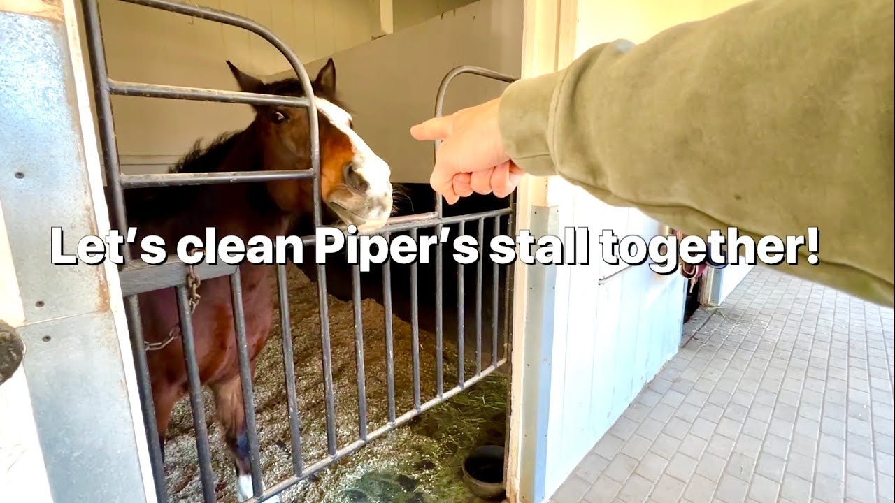 Play irl pony stall cleaning with me! POV stall cleaning with chest mount