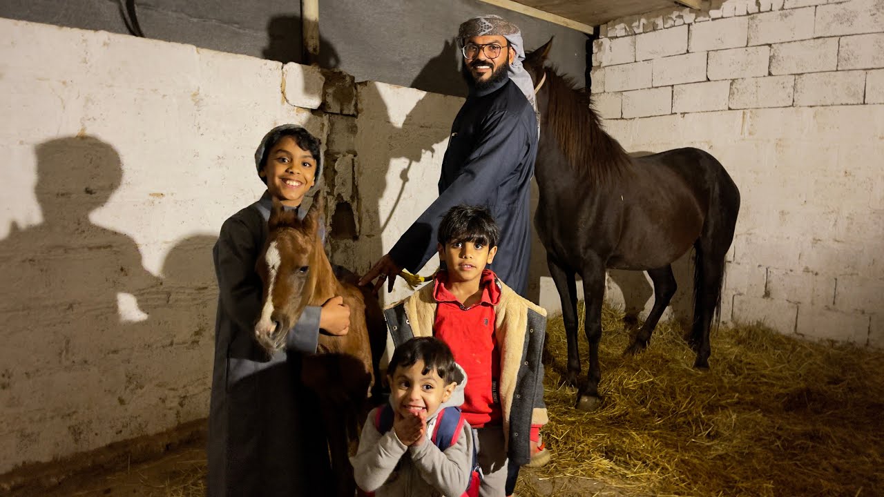 ولادة كرم 🥹😍🐎تعقيم غرفة الولادة👍🏻