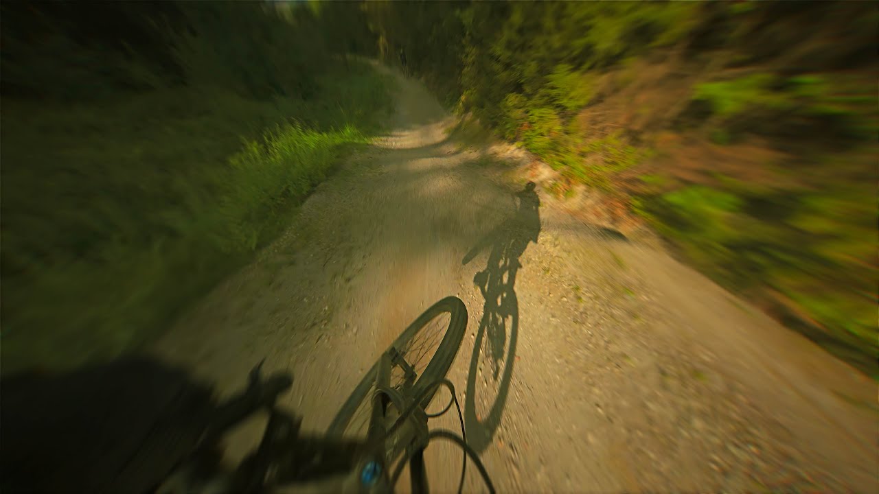 CHEAPEST Bike Park IN SLOVENIA?! | POSEKA BIKE PARK