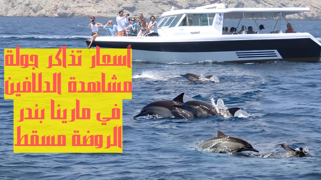 أسعار تذاكر جولة الدلافين في مارينا بندر الروضة مسقط سلطنة عمان ورابط الحجز أونلاين