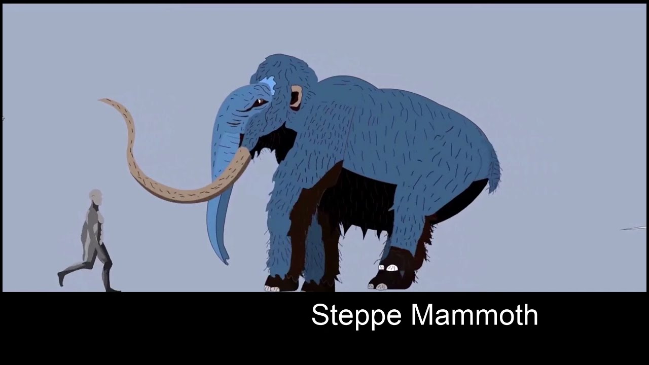 Cenozoic Beast Size Comparison (Mammals)