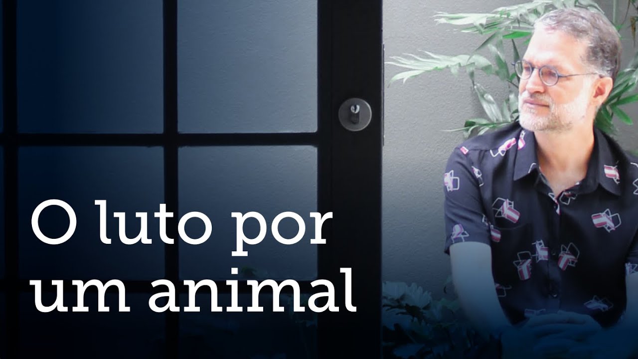 A perda de um animal de estimação