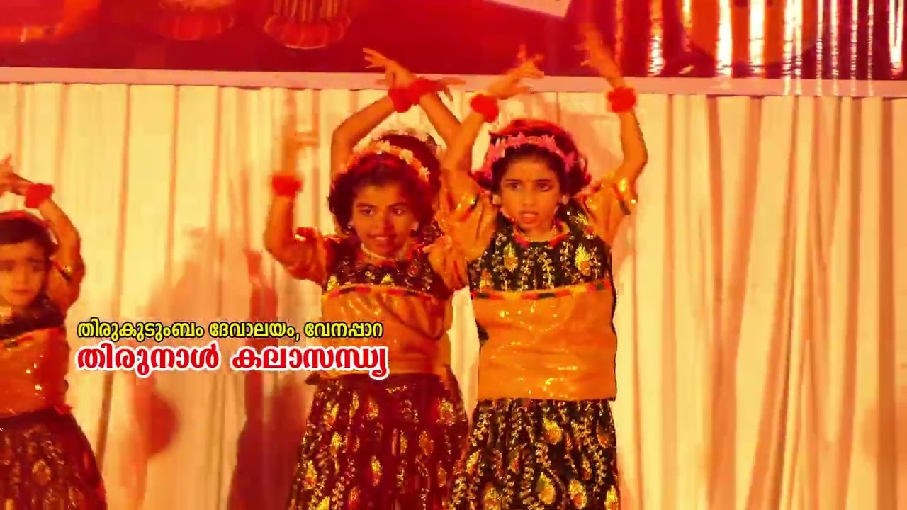 Dance performance Janisa