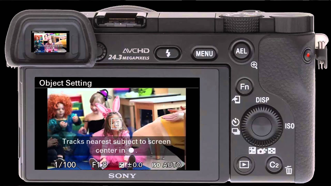 Focus Lock Feature With The Sony a6000 Mirrorless Camera