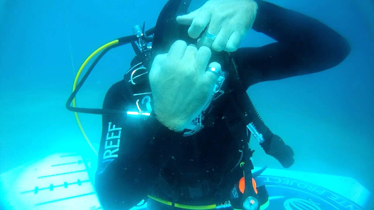Ocean Reef Integrated full face mask Essential Skills
