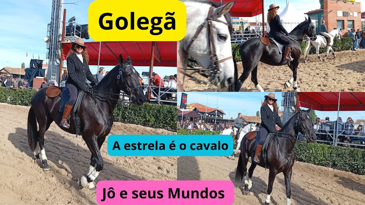 Golegã a maior feira de cavalo de Portugal vamos juntos ver essas maravilhas Jô e Seus Mundos