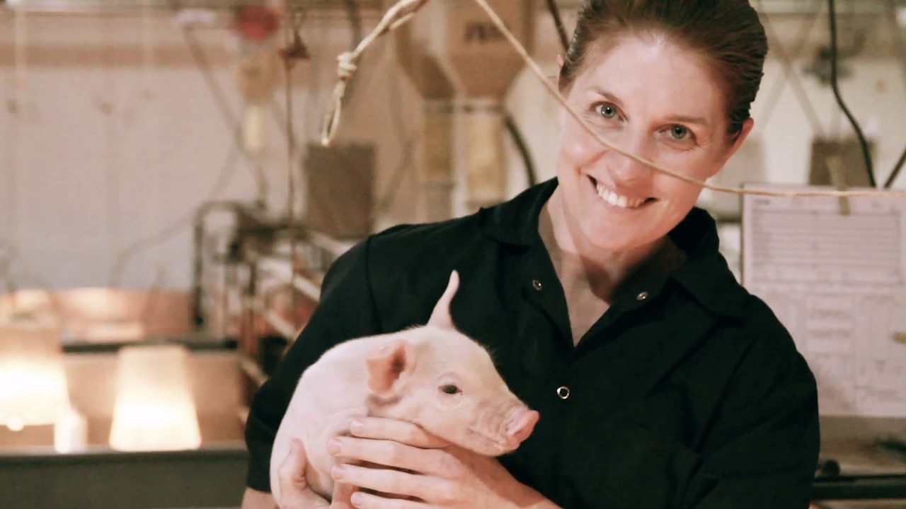 Phibro Animal Health Corporation