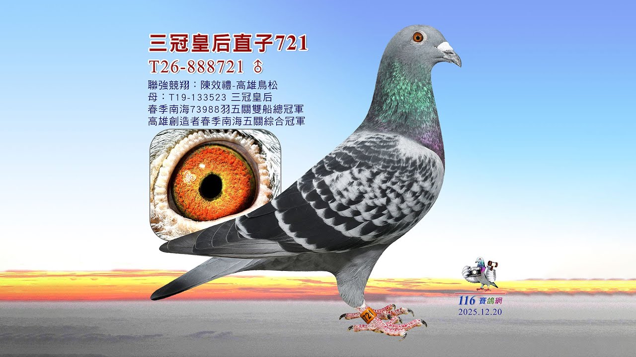 【陳效禮 全舍拍賣】T26-888721