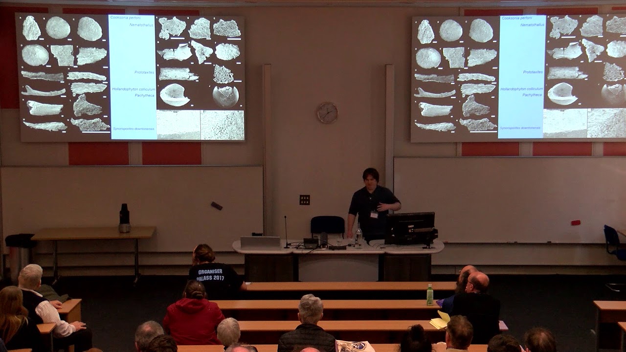 The Downton Bonebed: insights into a lost world