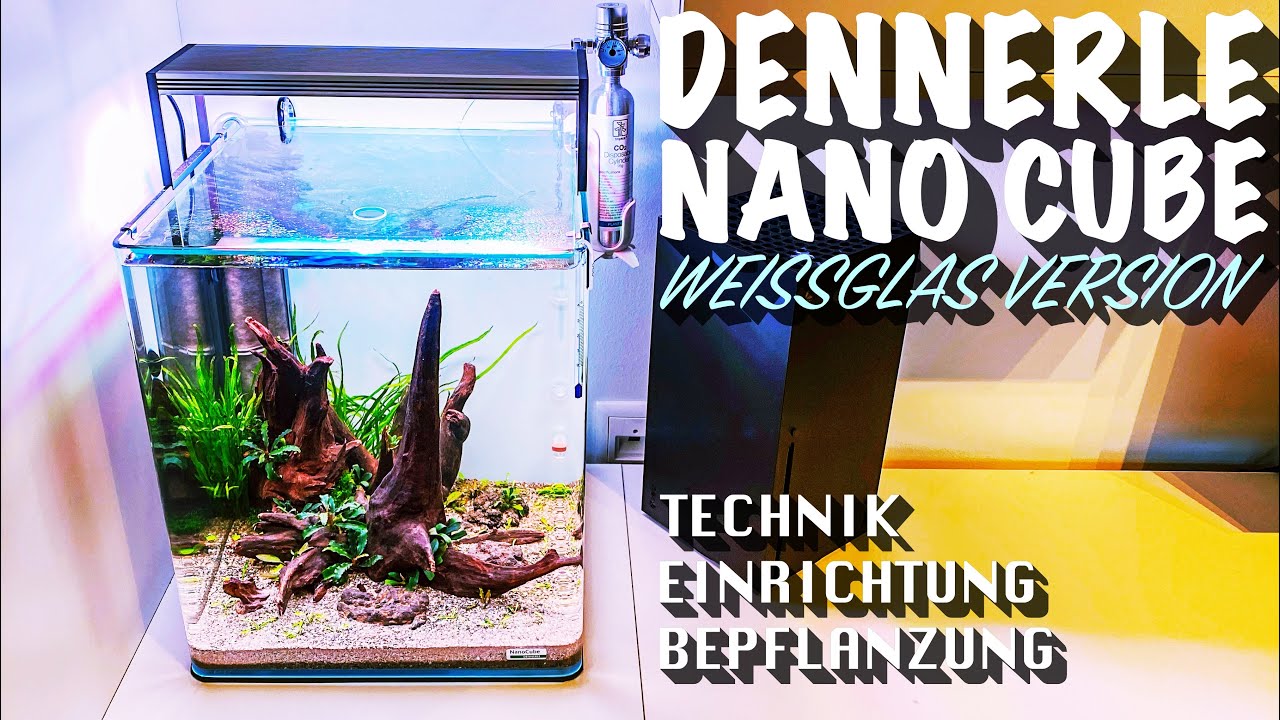 Dennerle Nano Cube 30 Liter Weissglas Version - Technik, Einrichtung & Bepflanzung