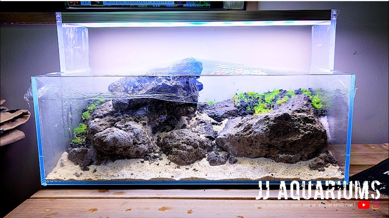 HOW TO | Dry Start Method for Planted Aquariums