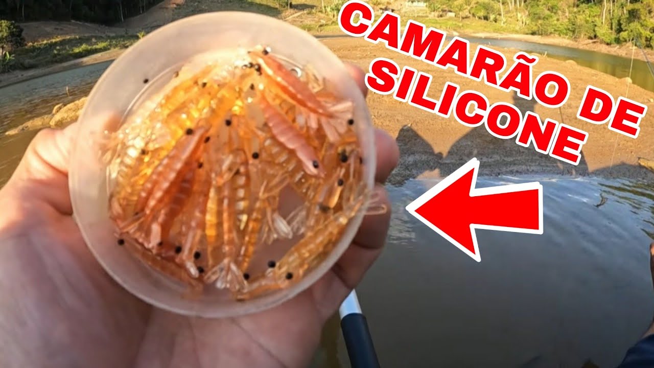 PESCARIA DE TRAÍRA COM CAMARÃO DE SILICONE
