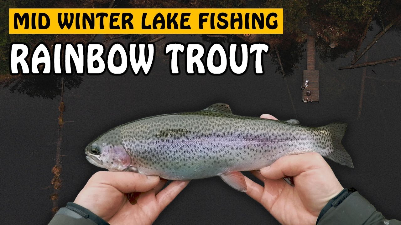 Catching Rainbow Trout in Winter? Yes Please! | Fishing with Rod