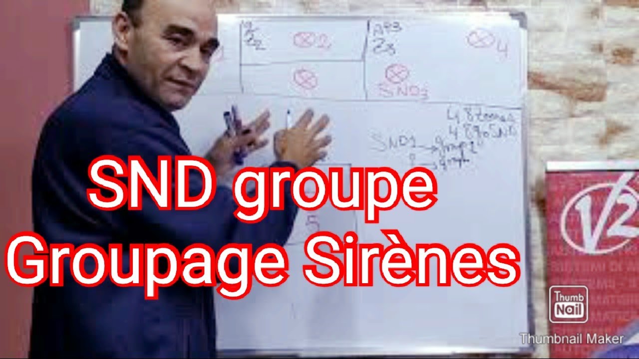 #11_SIMPO TELETEK groupage des sirènes adressables SND groupe ,plus de detailles.