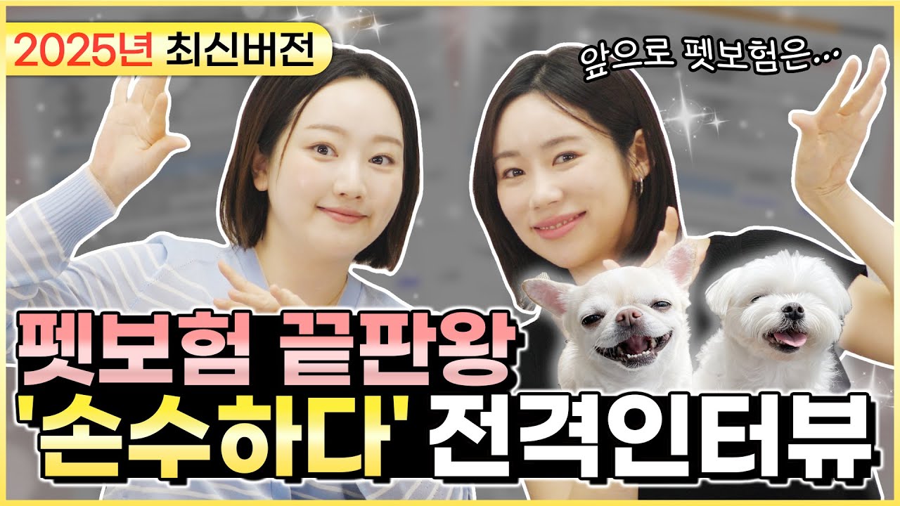 2025년 7월, 최신 펫보험 보장 어떻게 달라졌을까!? | 펫보험 최신으로 알아보신다면..?