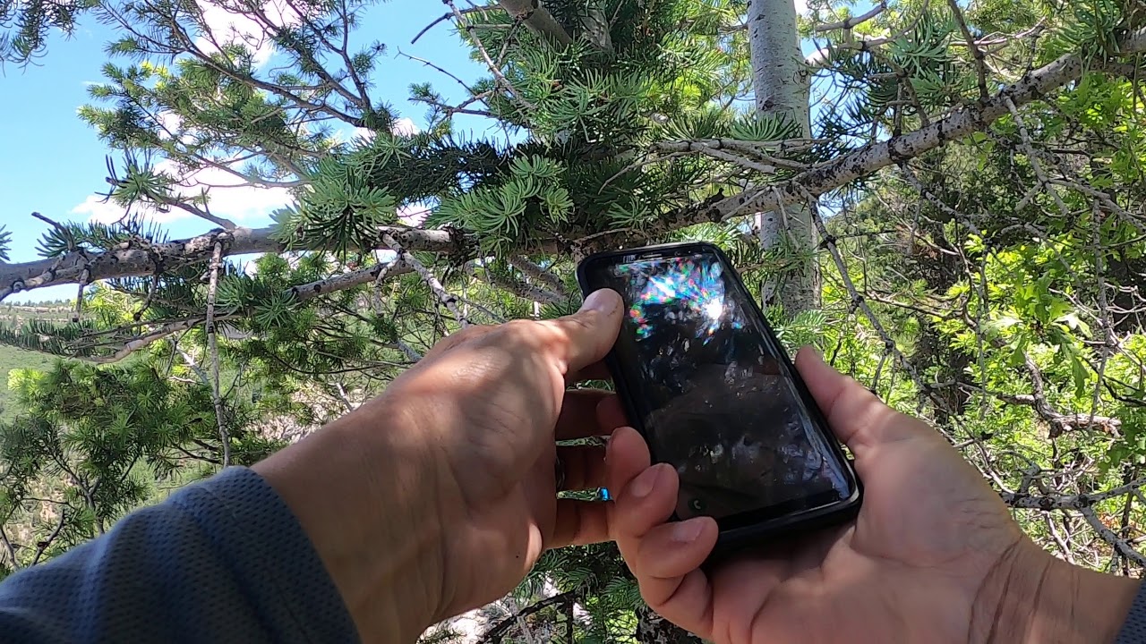 Gavilan Trail Hiding a Cache