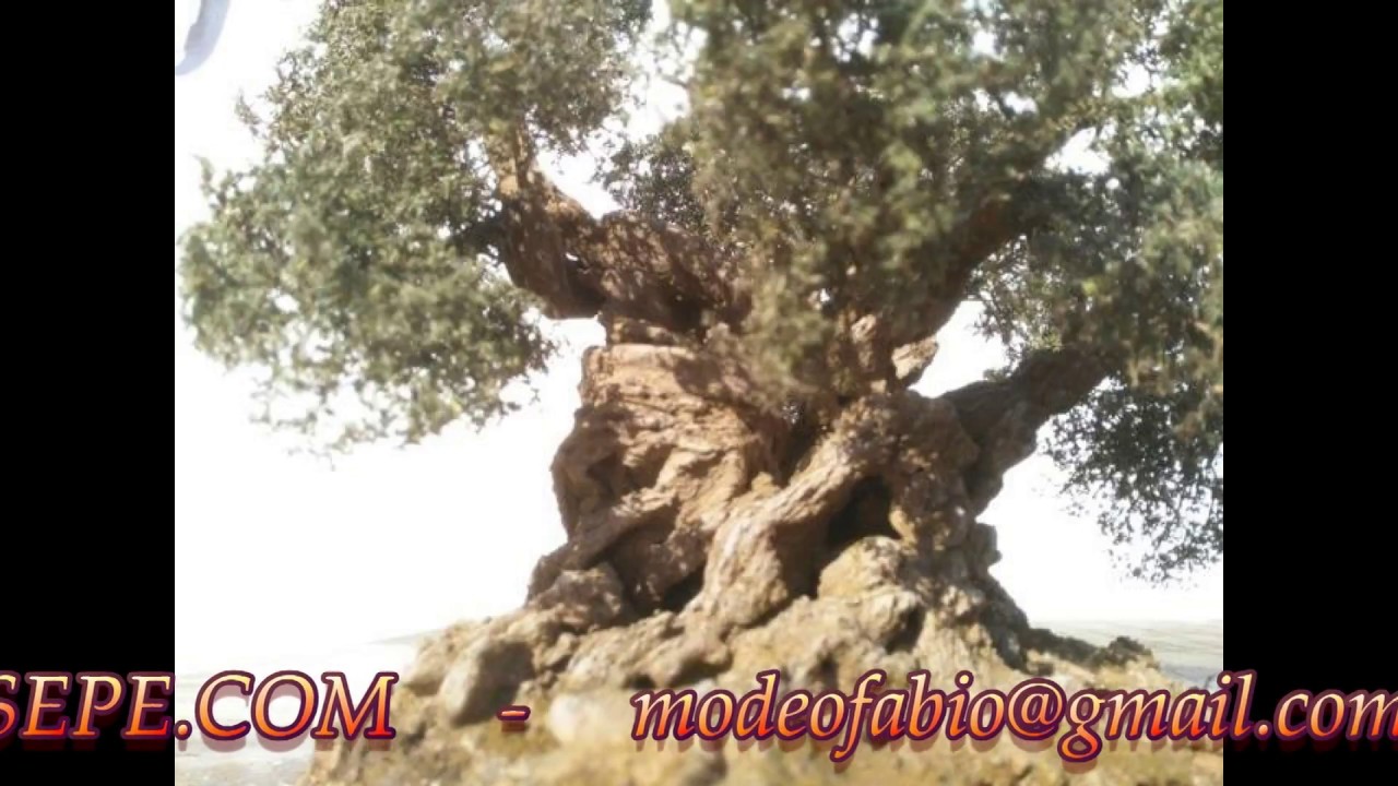Come fare un albero di ulivo per presepe diorama