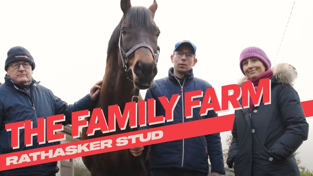 The Family Farm | Rathasker Stud In County Kildare | Irish Stallion Trail 2024