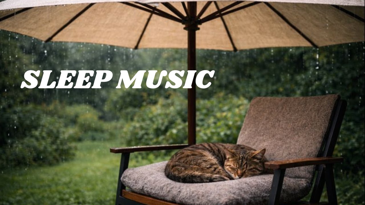Tabby Cat Napping During Rainstorm |2  Hour Relaxation ASMR