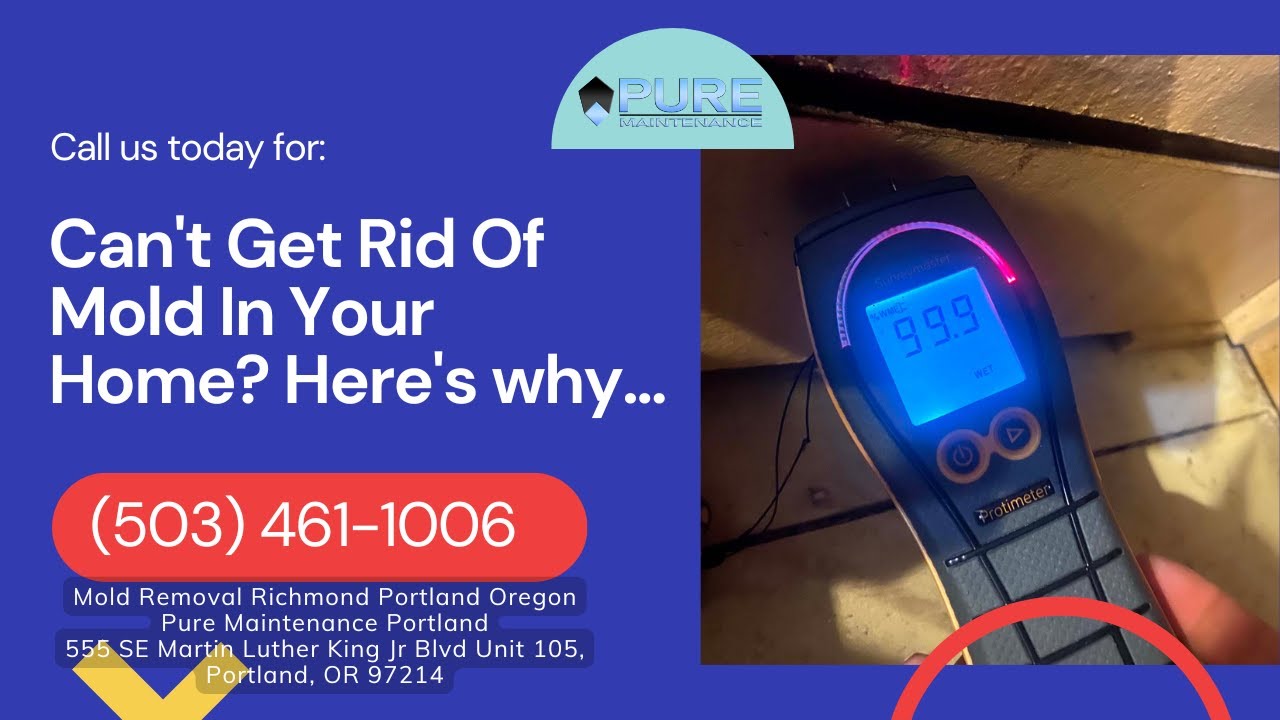 Mold Removal Richmond Portland Oregon - Pure Maintenance Portland - 503-461-1006