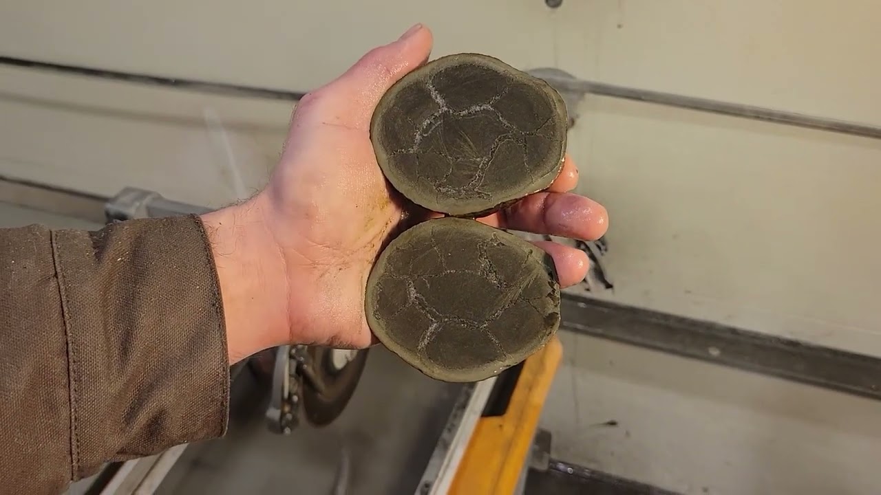 Pyrite Concretion. What's inside???