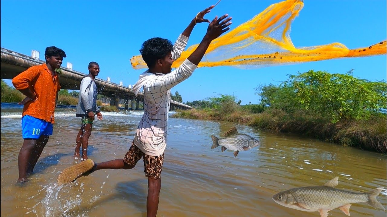 வீச்சி வலை வீசி வித விதமா மீன் பிடிக்க போறோம் 🐟 Cast net throw fishing in the river@Venuadventures
