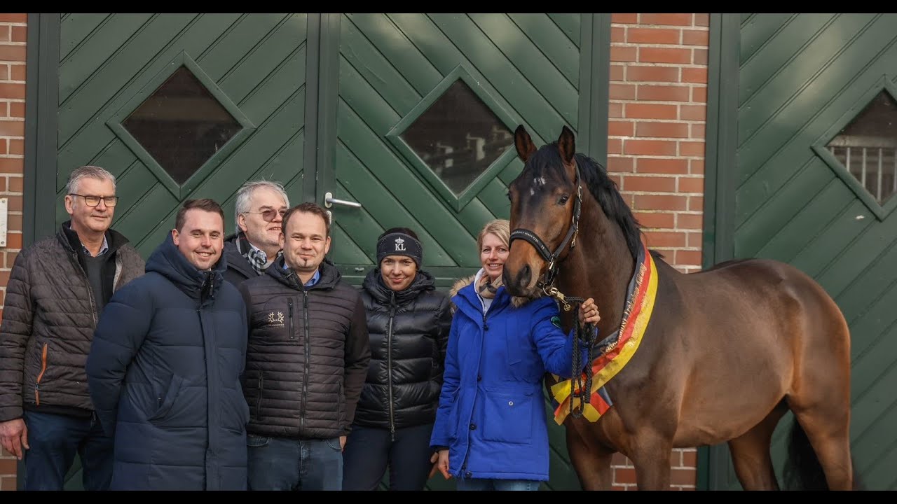Trakehner Siegerhengst 2024 Havertz v. Blanc Pain - E.H. Millennium - K2