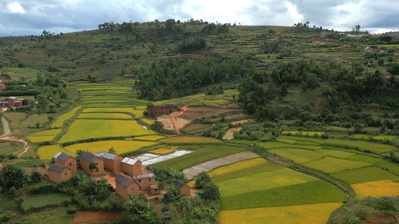 Bâtir des opportunités à Madagascar, un microcrédit à la fois