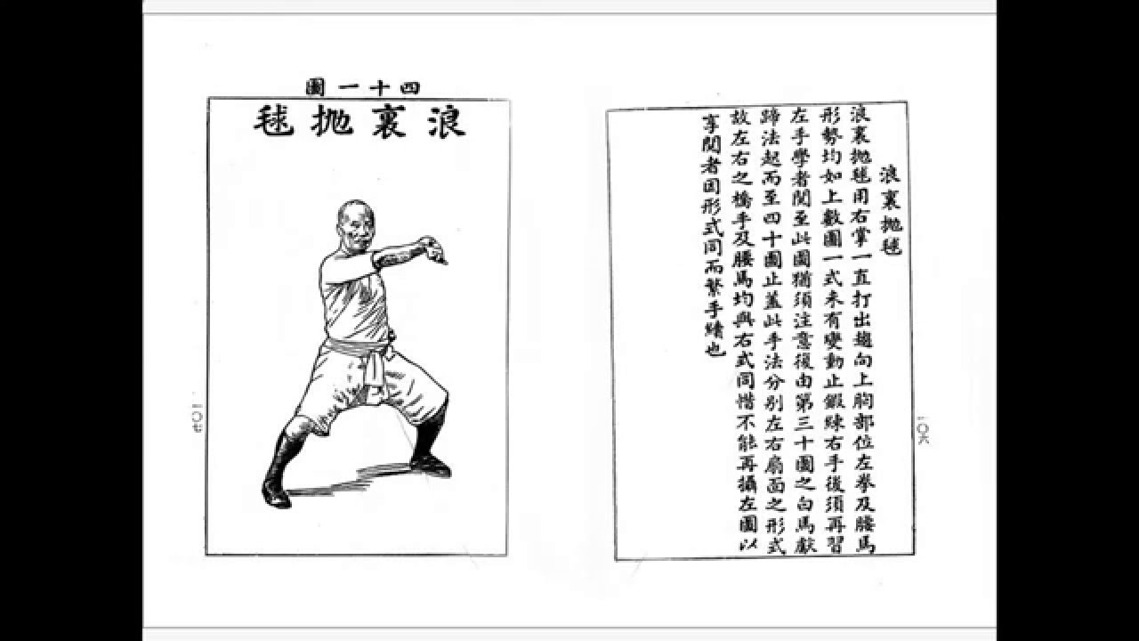 少林洪家虎鶴雙形拳