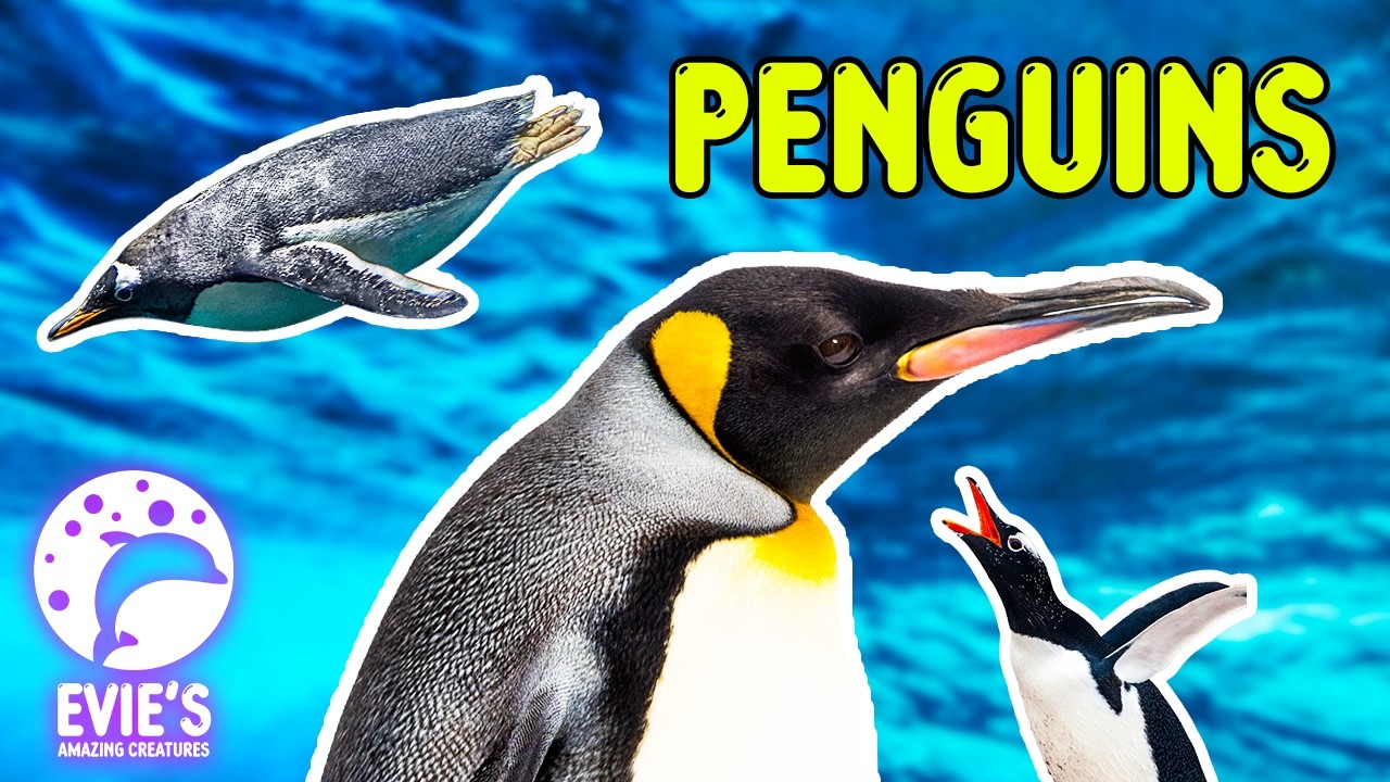 Пингвины умеют летать под водой! 🐧 | Факты о пингвинах для детей