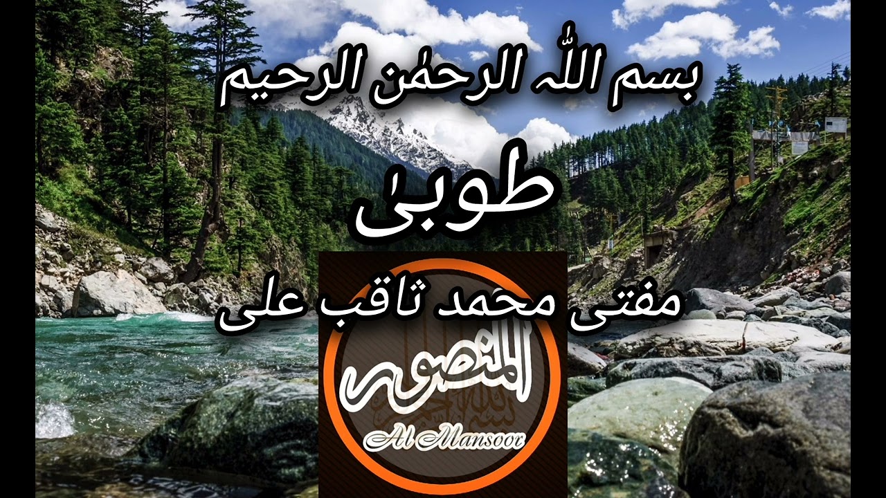 المنصور