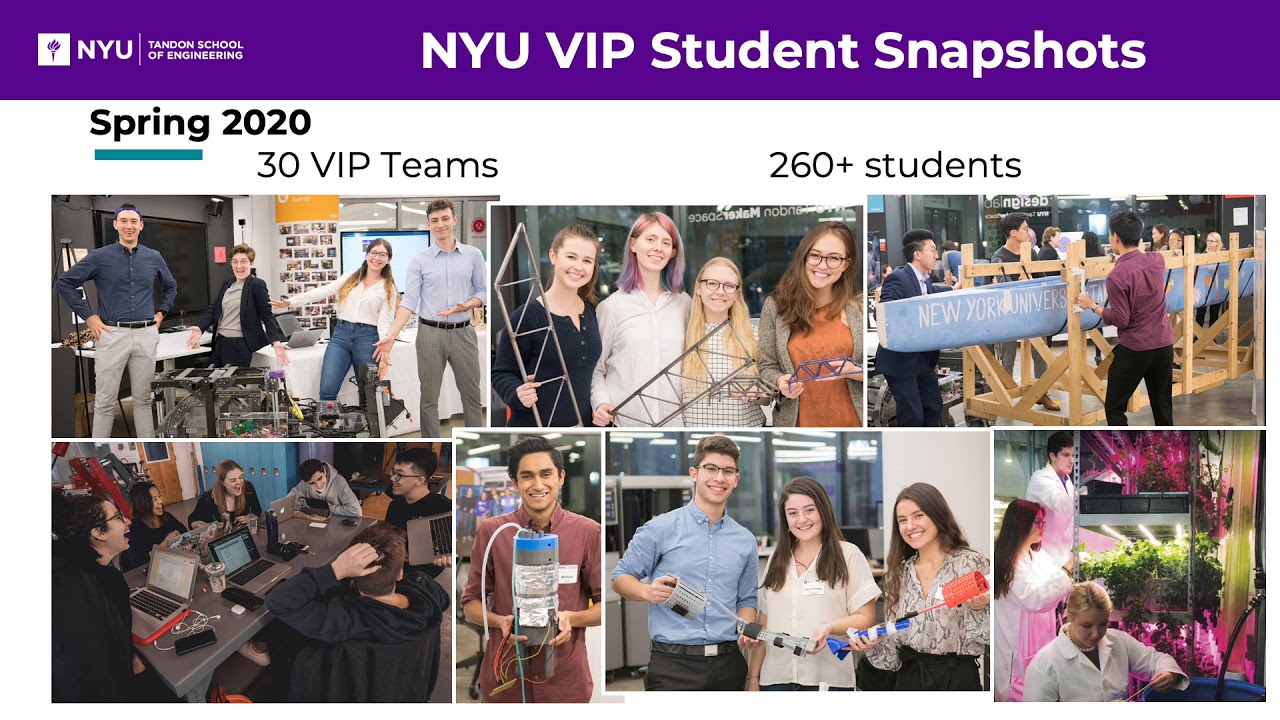 What is the VIP Program?