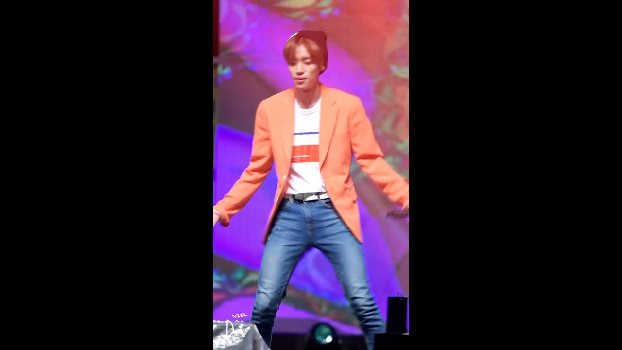 151010 홍천 나라꽃 무궁화축제 틴탑 [아침부터 아침까지] 니엘 focus