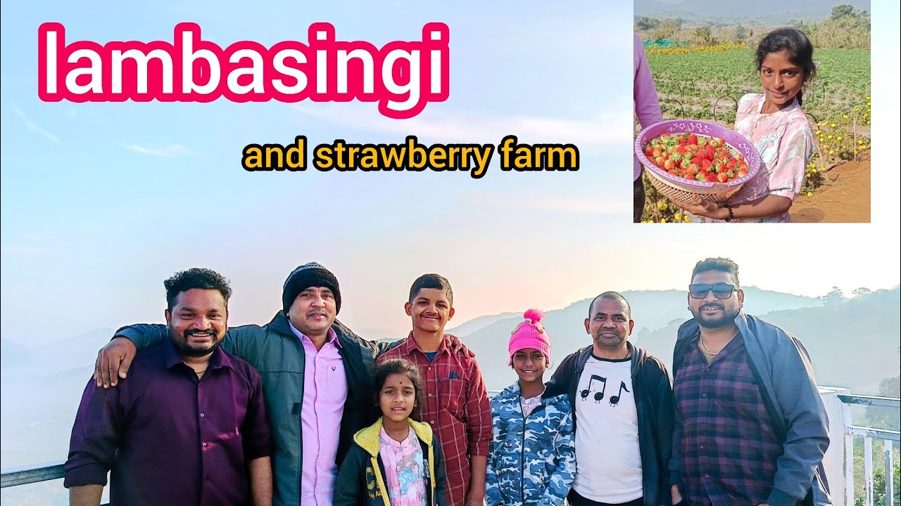 Lambasingi...🏔️🗻🌄☃️🍓🌻🌸#lambasingi#2026#strawberry#farming#love#nature#naturelovers 