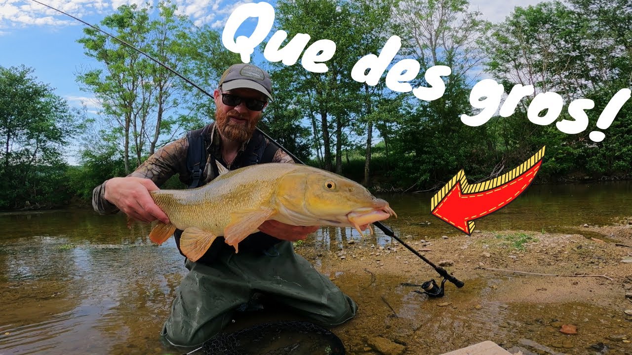 Pêche de GROS POISSONS au TOC!