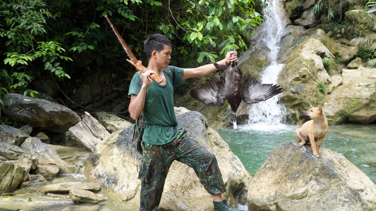 wild boar sound in nature, wild boar tracks, wild duck hunting in nature, green forest life