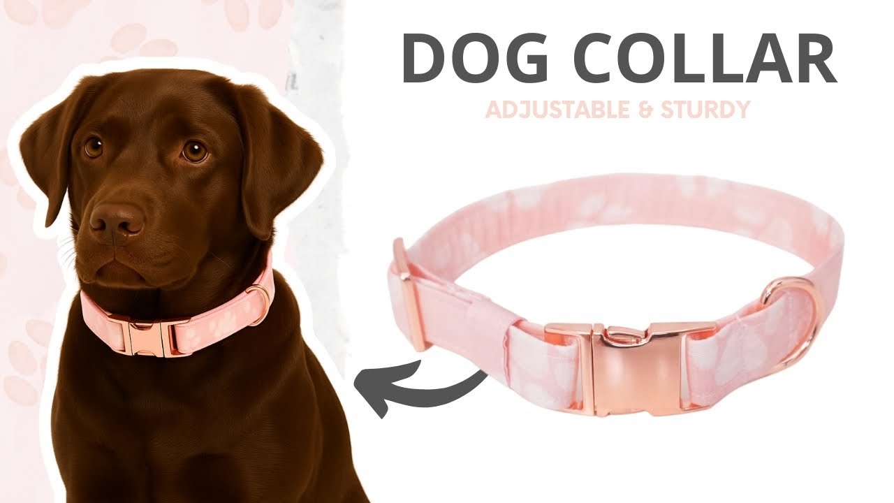 DIY Dog Collar for Beginners 🧵 Handmade Collar Sewing Guide