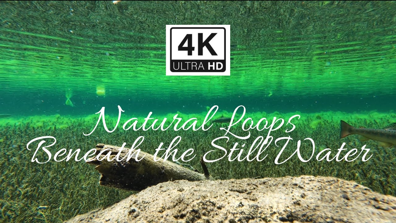 Natural Loops – Beneath the Still Water