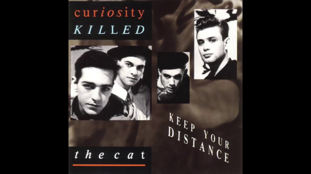 Curiosity Killed the Cat - Down to Earth