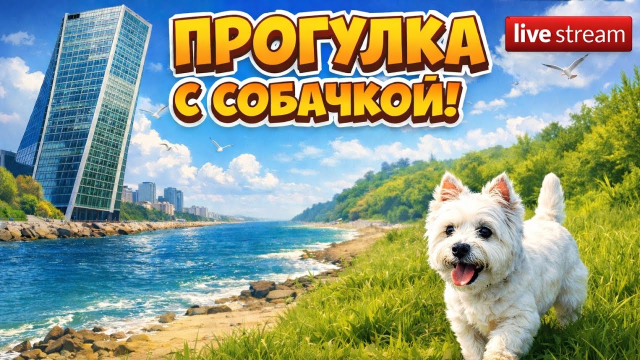 Идём вдоль берега от косого здания 🏪 Обсуждаем #море #пляж 🌞 Общаемся 🎙️