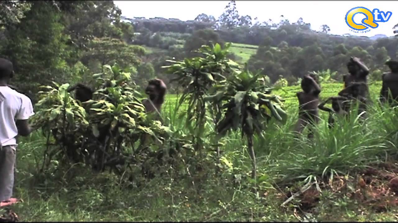 MAKALA: Tohara ya Watiriki huendeshwa vipi Magharibi ya Kenya?